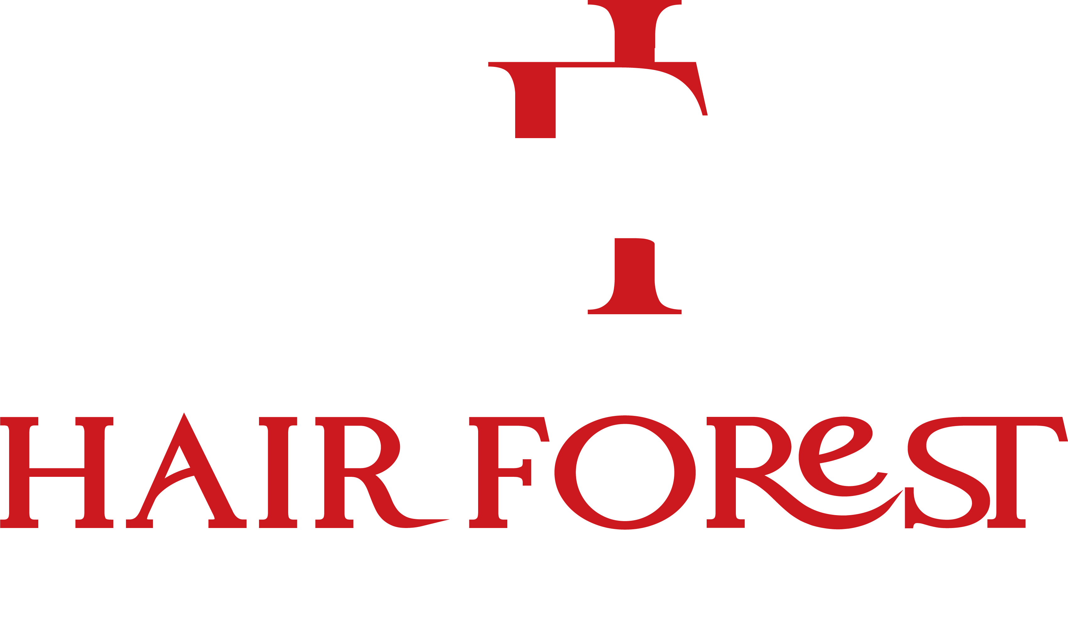 hair-forest-salon